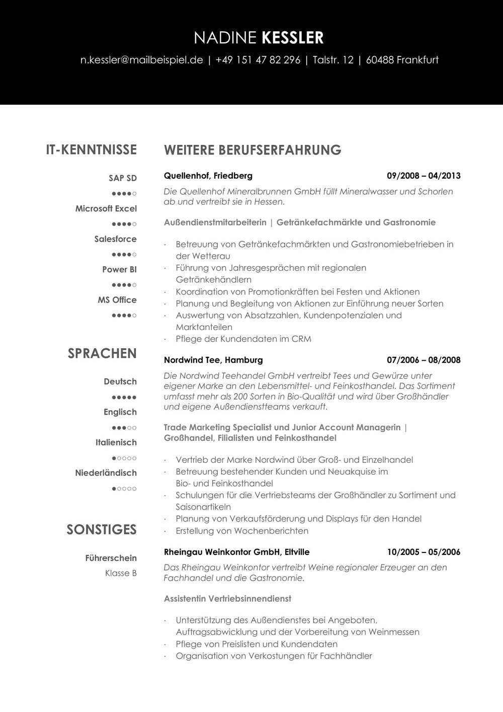 Arbeitsbeispiel einer Bewerbung als Key Account Managerin in Frankfurt (fiktive Person), Seite 5: Berufserfahrung, Fortsetzung, EDV und Sprachen