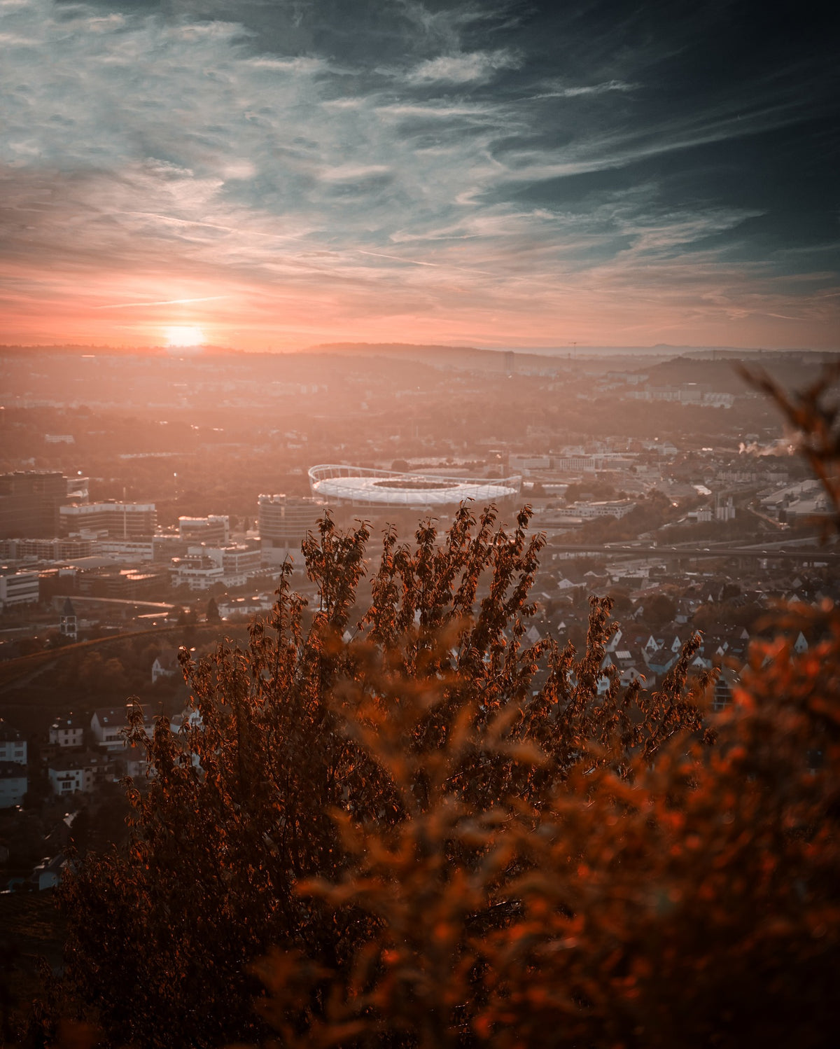 Blick von den Weinbergen über das Neckartal in Stuttgart mit dem Fußballstadion bei Sonnenuntergang